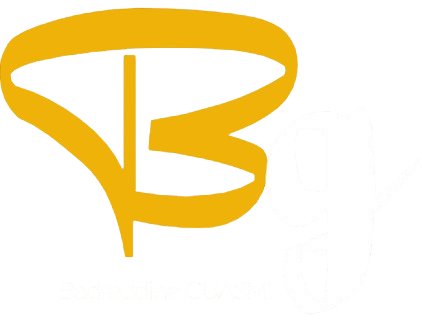 Logo B.GUASMI